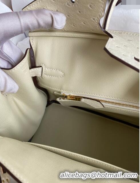 Stylish Hermes Birkin 25cm Bag in Ostrich Leather H0025 Wool White/Pink Gold 2024 (Full Handmade)