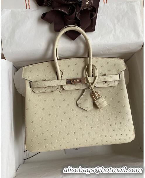 Stylish Hermes Birkin 25cm Bag in Ostrich Leather H0025 Wool White/Pink Gold 2024 (Full Handmade)