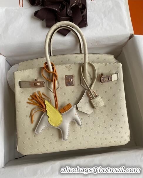 Stylish Hermes Birkin 25cm Bag in Ostrich Leather H0025 Wool White/Pink Gold 2024 (Full Handmade)