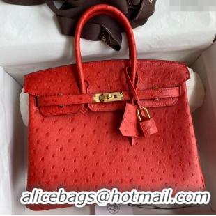 Classic Wholesale Hermes Birkin 25cm Bag in Ostrich Leather H0025 Ferrari Red/Gold 2024