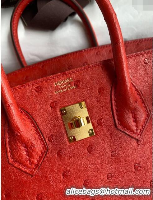 Classic Wholesale Hermes Birkin 25cm Bag in Ostrich Leather H0025 Ferrari Red/Gold 2024