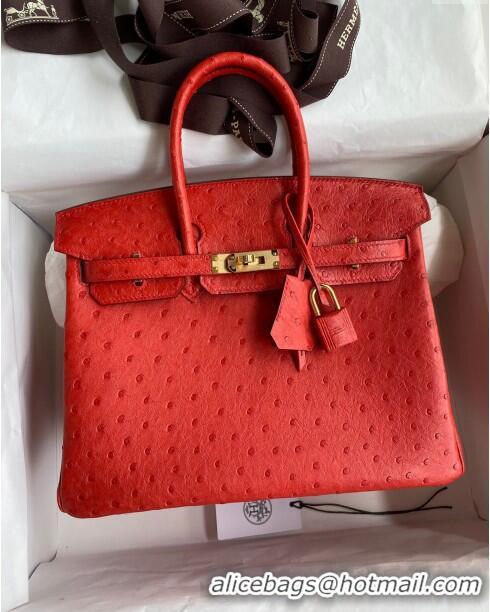 Classic Wholesale Hermes Birkin 25cm Bag in Ostrich Leather H0025 Ferrari Red/Gold 2024