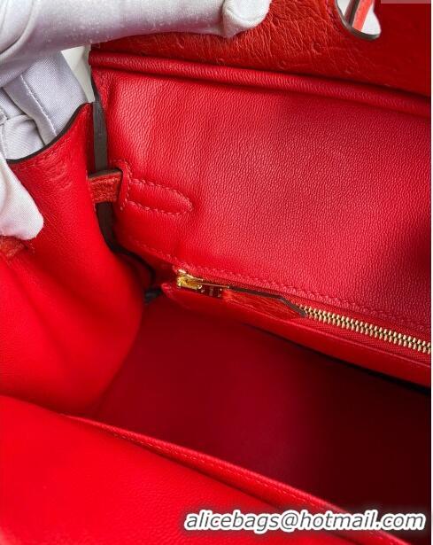 Classic Wholesale Hermes Birkin 25cm Bag in Ostrich Leather H0025 Ferrari Red/Gold 2024