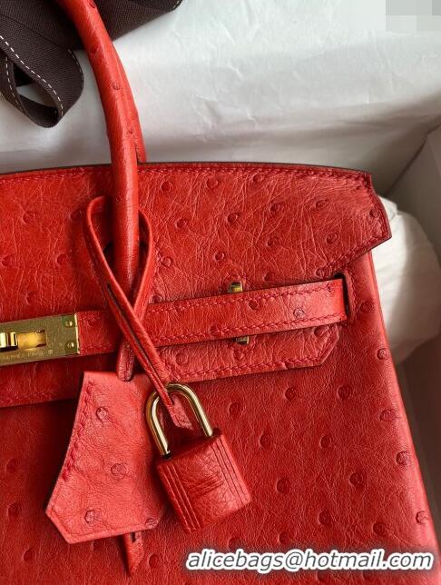 Classic Wholesale Hermes Birkin 25cm Bag in Ostrich Leather H0025 Ferrari Red/Gold 2024