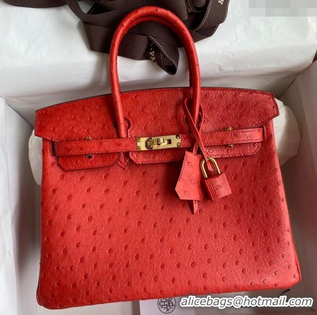 Classic Wholesale Hermes Birkin 25cm Bag in Ostrich Leather H0025 Ferrari Red/Gold 2024