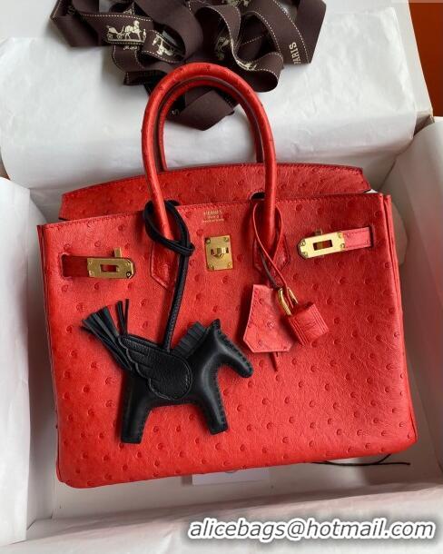 Classic Wholesale Hermes Birkin 25cm Bag in Ostrich Leather H0025 Ferrari Red/Gold 2024