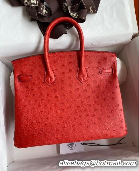 Classic Wholesale Hermes Birkin 25cm Bag in Ostrich Leather H0025 Ferrari Red/Gold 2024