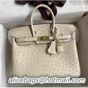 Luxury Classic Hermes Birkin 25cm Bag in Ostrich Leather H0025 Wool White/Gold 2024 (Full Handmade)