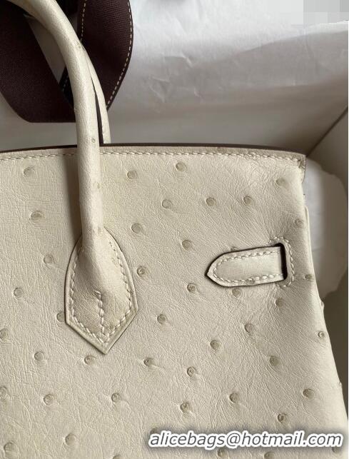 Luxury Classic Hermes Birkin 25cm Bag in Ostrich Leather H0025 Wool White/Gold 2024 (Full Handmade)