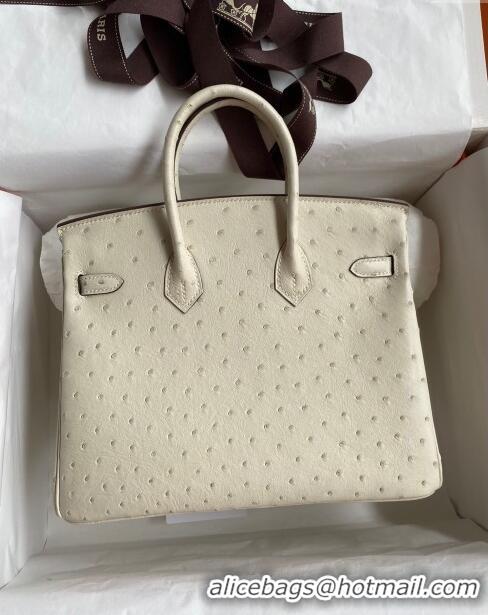 Luxury Classic Hermes Birkin 25cm Bag in Ostrich Leather H0025 Wool White/Gold 2024 (Full Handmade)