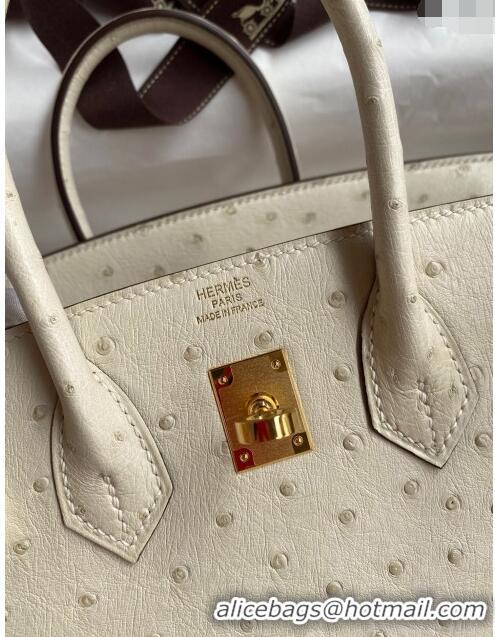 Luxury Classic Hermes Birkin 25cm Bag in Ostrich Leather H0025 Wool White/Gold 2024 (Full Handmade)