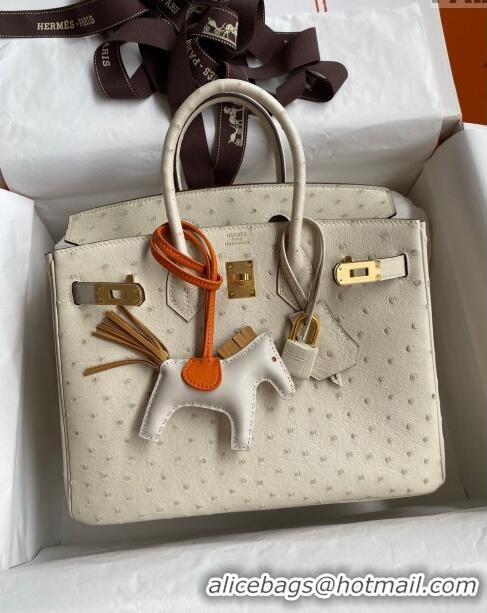 Luxury Classic Hermes Birkin 25cm Bag in Ostrich Leather H0025 Wool White/Gold 2024 (Full Handmade)