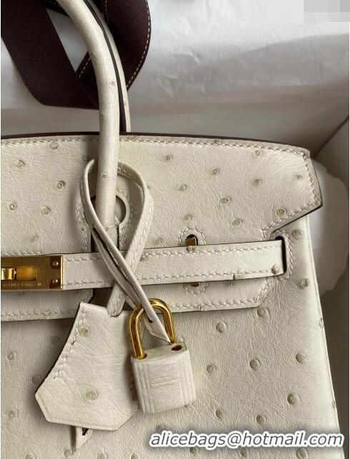 Luxury Classic Hermes Birkin 25cm Bag in Ostrich Leather H0025 Wool White/Gold 2024 (Full Handmade)