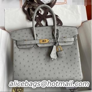 Luxurious Hermes Birkin 25cm Bag in Ostrich Leather H0025 Glacier Blue/Gold 2024 (Full Handmade)