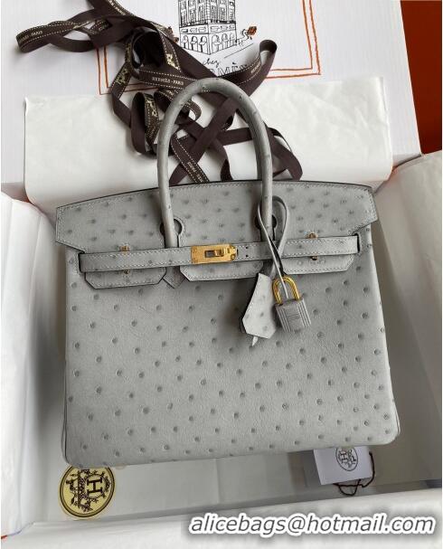 Luxurious Hermes Birkin 25cm Bag in Ostrich Leather H0025 Glacier Blue/Gold 2024 (Full Handmade)