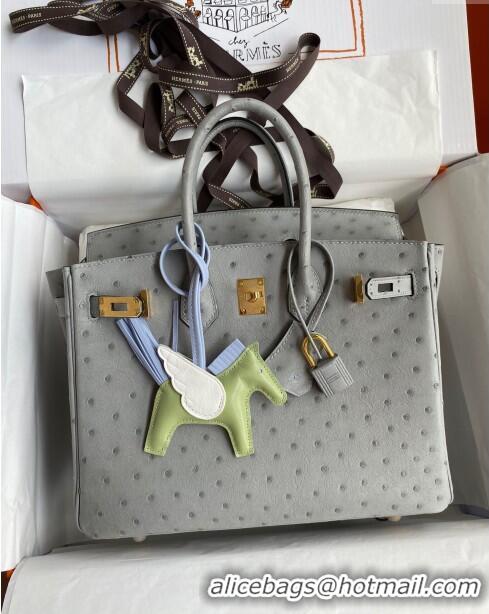 Luxurious Hermes Birkin 25cm Bag in Ostrich Leather H0025 Glacier Blue/Gold 2024 (Full Handmade)