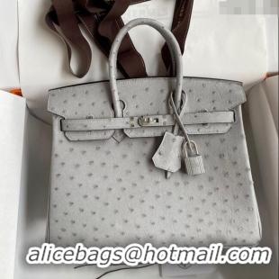 Best Price Hermes Birkin 25cm Bag in Ostrich Leather H0025 Glacier Blue/Silver 2024 (Full Handmade)