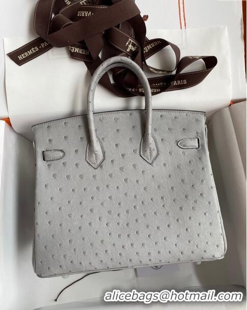 Best Price Hermes Birkin 25cm Bag in Ostrich Leather H0025 Glacier Blue/Silver 2024 (Full Handmade)