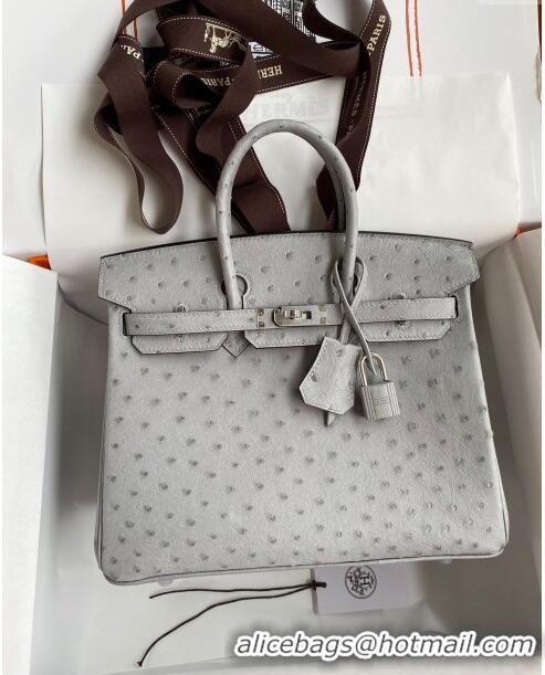 Best Price Hermes Birkin 25cm Bag in Ostrich Leather H0025 Glacier Blue/Silver 2024 (Full Handmade)