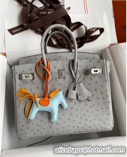 Best Price Hermes Birkin 25cm Bag in Ostrich Leather H0025 Glacier Blue/Silver 2024 (Full Handmade)