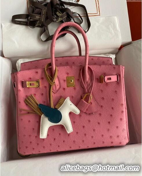 Grade Quality Hermes Birkin 25cm Bag in Ostrich Leather H0025 Bubble Pink/Gold 2024 (Full Handmade)