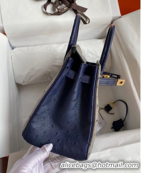 New Cheap Hermes Birkin 25cm Bag in Ostrich Leather H0025 Turtledove Grey/Blue/Silver 2024 (Full Handmade)