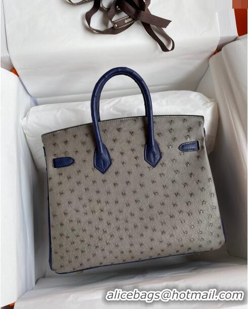 New Cheap Hermes Birkin 25cm Bag in Ostrich Leather H0025 Turtledove Grey/Blue/Silver 2024 (Full Handmade)