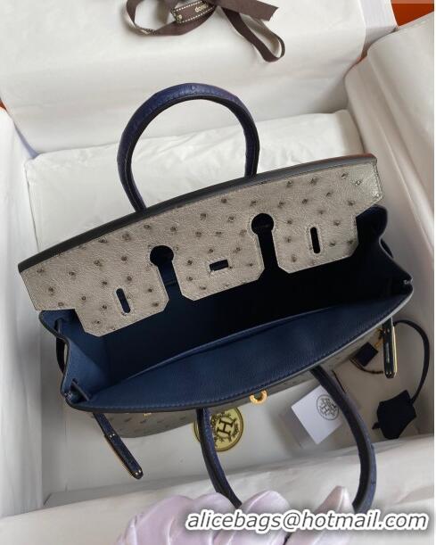 New Cheap Hermes Birkin 25cm Bag in Ostrich Leather H0025 Turtledove Grey/Blue/Silver 2024 (Full Handmade)