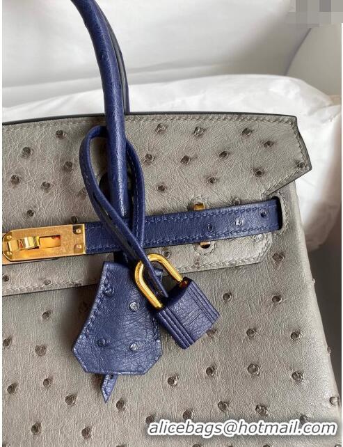 New Cheap Hermes Birkin 25cm Bag in Ostrich Leather H0025 Turtledove Grey/Blue/Silver 2024 (Full Handmade)