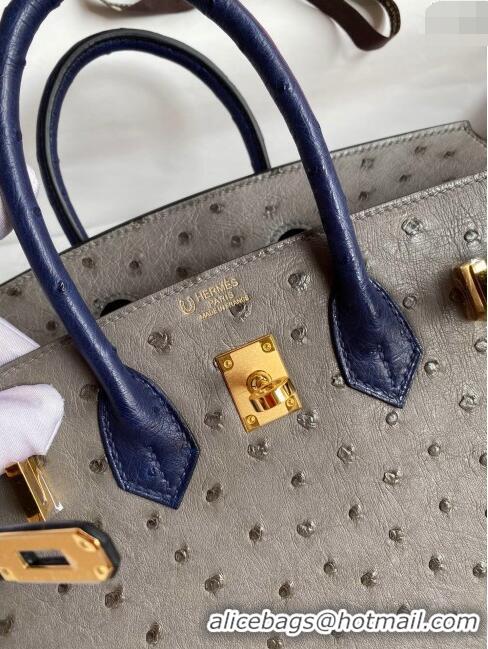 New Cheap Hermes Birkin 25cm Bag in Ostrich Leather H0025 Turtledove Grey/Blue/Silver 2024 (Full Handmade)