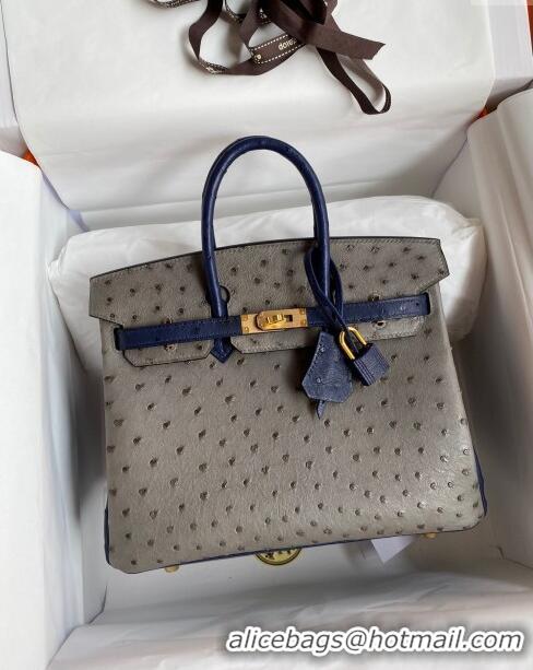 New Cheap Hermes Birkin 25cm Bag in Ostrich Leather H0025 Turtledove Grey/Blue/Silver 2024 (Full Handmade)