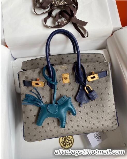 New Cheap Hermes Birkin 25cm Bag in Ostrich Leather H0025 Turtledove Grey/Blue/Silver 2024 (Full Handmade)