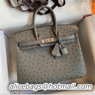 Buy Cheap Hermes Birkin 25cm Bag in Ostrich Leather H0025 Turtledove Grey/Silver 2024 (Full Handmade)