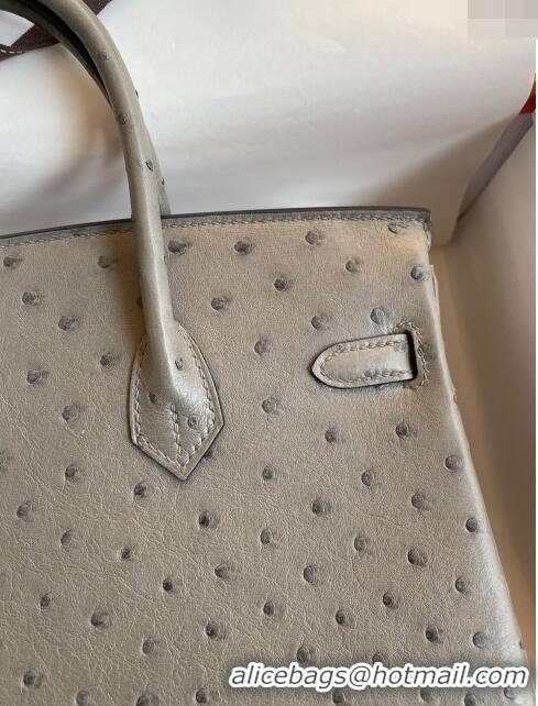 Buy Cheap Hermes Birkin 25cm Bag in Ostrich Leather H0025 Turtledove Grey/Silver 2024 (Full Handmade)