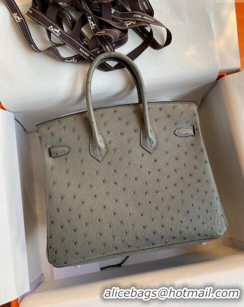 Buy Cheap Hermes Birkin 25cm Bag in Ostrich Leather H0025 Turtledove Grey/Silver 2024 (Full Handmade)