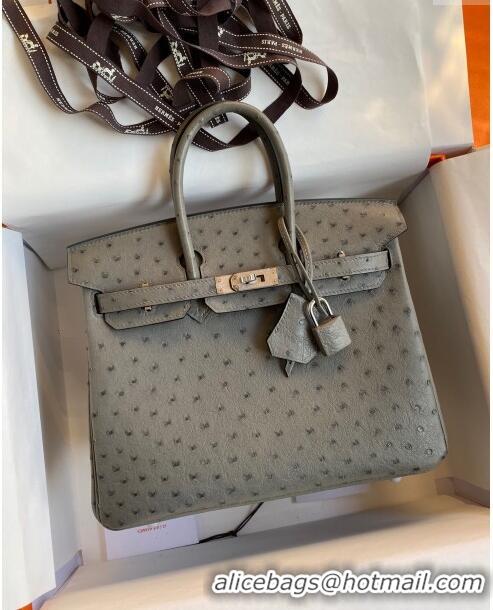 Buy Cheap Hermes Birkin 25cm Bag in Ostrich Leather H0025 Turtledove Grey/Silver 2024 (Full Handmade)