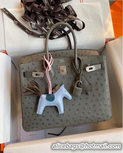 Buy Cheap Hermes Birkin 25cm Bag in Ostrich Leather H0025 Turtledove Grey/Silver 2024 (Full Handmade)