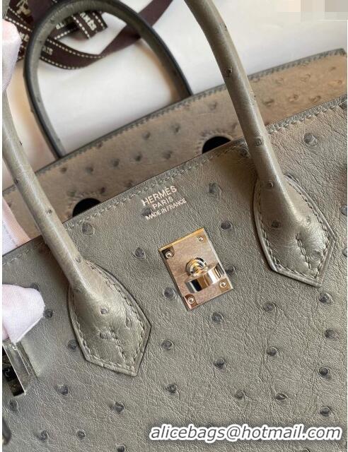 Buy Cheap Hermes Birkin 25cm Bag in Ostrich Leather H0025 Turtledove Grey/Silver 2024 (Full Handmade)