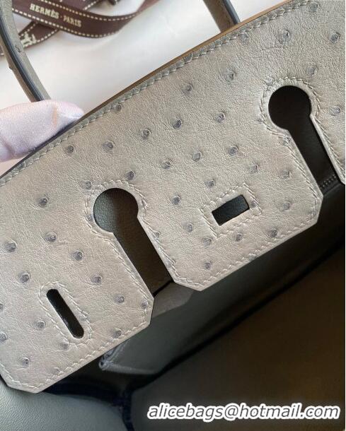 Buy Cheap Hermes Birkin 25cm Bag in Ostrich Leather H0025 Turtledove Grey/Silver 2024 (Full Handmade)