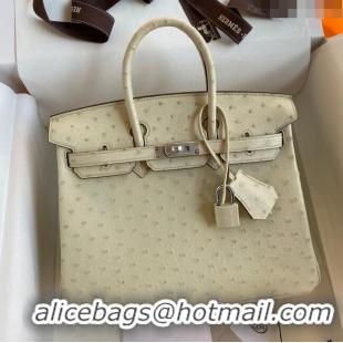 Original Cheap Hermes Birkin 25cm Bag in Ostrich Leather H0025 Wool White/Silver 2024 (Full Handmade)