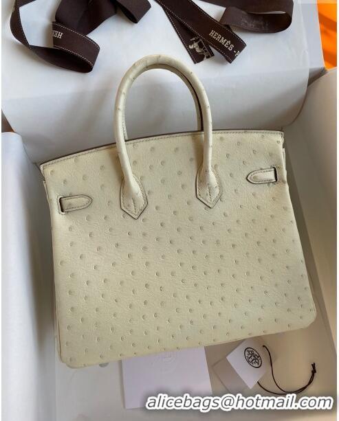 Original Cheap Hermes Birkin 25cm Bag in Ostrich Leather H0025 Wool White/Silver 2024 (Full Handmade)