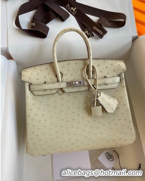 Original Cheap Hermes Birkin 25cm Bag in Ostrich Leather H0025 Wool White/Silver 2024 (Full Handmade)