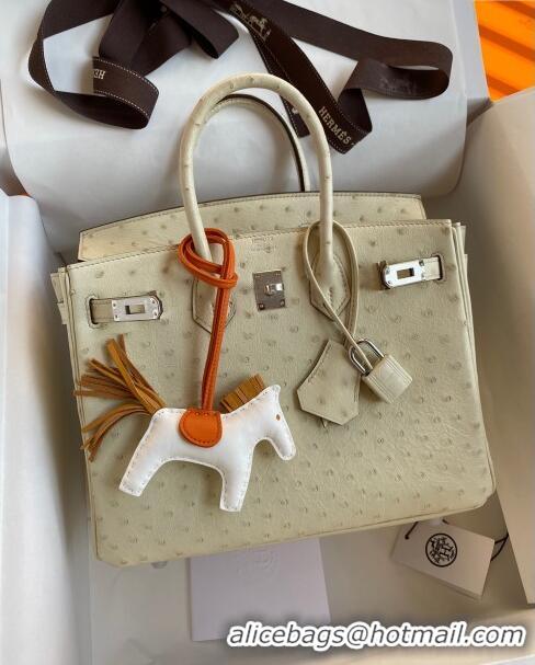 Original Cheap Hermes Birkin 25cm Bag in Ostrich Leather H0025 Wool White/Silver 2024 (Full Handmade)