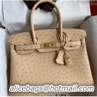 Best Quality Hermes Birkin 25cm Bag in Ostrich Leather H0025 Light Brown/Gold 2024 (Full Handmade)