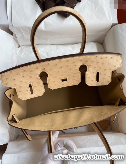 Best Quality Hermes Birkin 25cm Bag in Ostrich Leather H0025 Light Brown/Gold 2024 (Full Handmade)