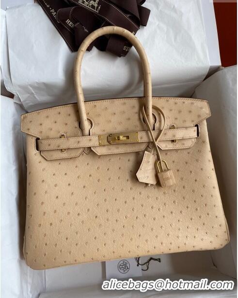 Best Quality Hermes Birkin 25cm Bag in Ostrich Leather H0025 Light Brown/Gold 2024 (Full Handmade)