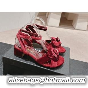 Best Product Chanel Velvet Heel Sandals 3.5cm with Camellia Bloom Burgundy 816125