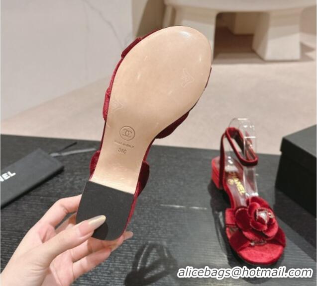 Best Product Chanel Velvet Heel Sandals 3.5cm with Camellia Bloom Burgundy 816125