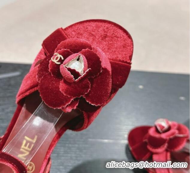 Best Product Chanel Velvet Heel Sandals 3.5cm with Camellia Bloom Burgundy 816125