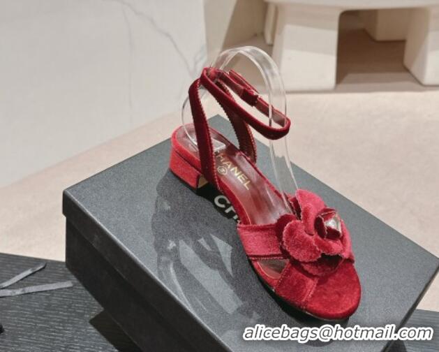 Best Product Chanel Velvet Heel Sandals 3.5cm with Camellia Bloom Burgundy 816125